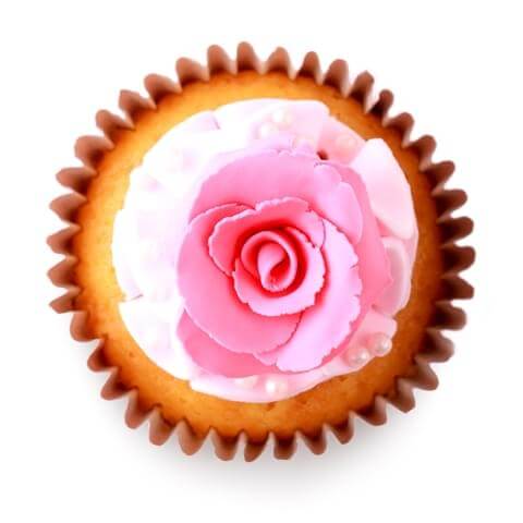 Nutrition Calculator